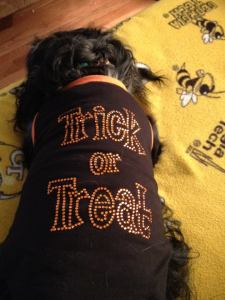 I Will Kill You In Your Sleep